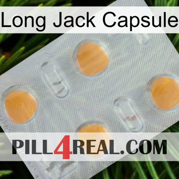 Long Jack Capsule 24.jpg